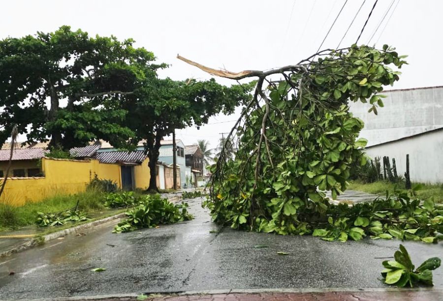 Toda a ação tem como objetivo garantir a segurança da população e o restabelecimento da normalidade Foto: Divulgação