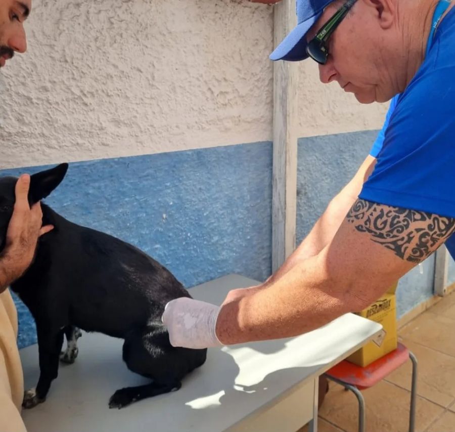 Reforço acontece na zona rural por conta da baixa cobertura. Nas demais localidades animais serão imunizados na campanha deste ano Foto: Matheus Müller