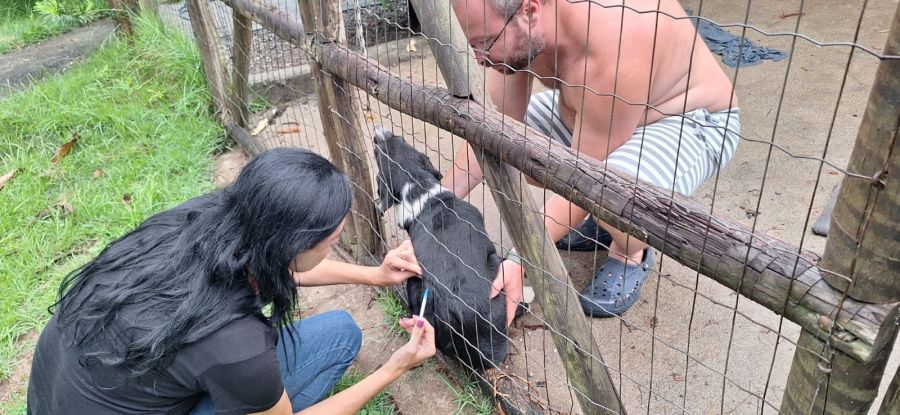 Na ação em Cantagalo no último sábado, quase 300 animais foram imunizados Foto: Ákilla Ribeiro