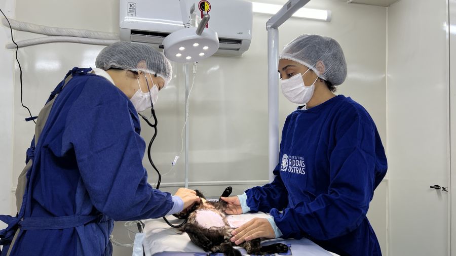 Para orientações veterinárias o atendimento é feito por ordem de chegada Foto: Alexandre Leite
