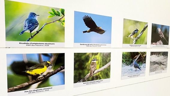 A mostra reúne cerca de 40 imagens e foi aberta ao público na última sexta-feira Foto: Alexandre Leite