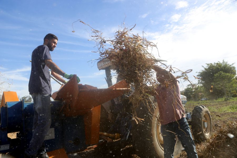 A iniciativa também busca estimular uma atuação conjunta entre o Poder Público e os produtores rurais Foto: Jorge Ronald