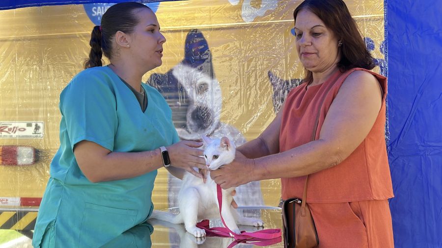 A iniciativa busca ampliar o acesso da população aos serviços municipais Foto: Alexandre Leite