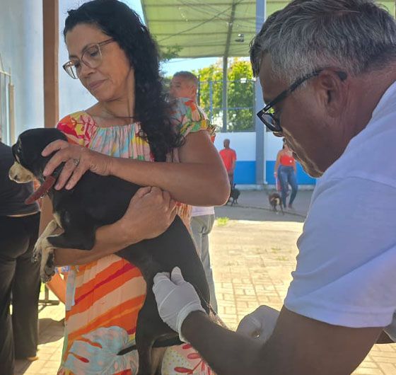 Campanha será em novembro, dividida pelos quatro sábados do mês, em diferentes localidades Foto: Alexandre Leite