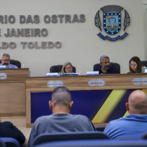 A Audiência Pública acontece na Câmara Municipal Foto: Divulgação