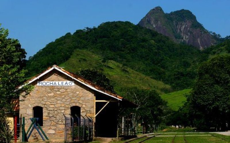 Caminhada será realizada no sábado, dia 30 de maio Foto: Divulgação