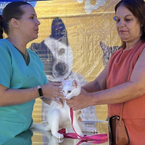 A iniciativa busca ampliar o acesso da população aos serviços municipais Foto: Alexandre Leite