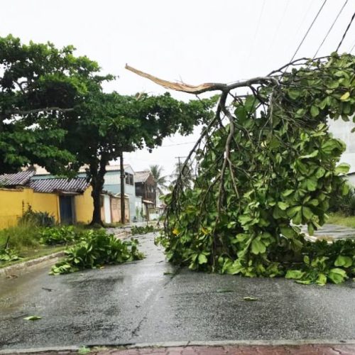 Toda a ação tem como objetivo garantir a segurança da população e o restabelecimento da normalidade Foto: Divulgação