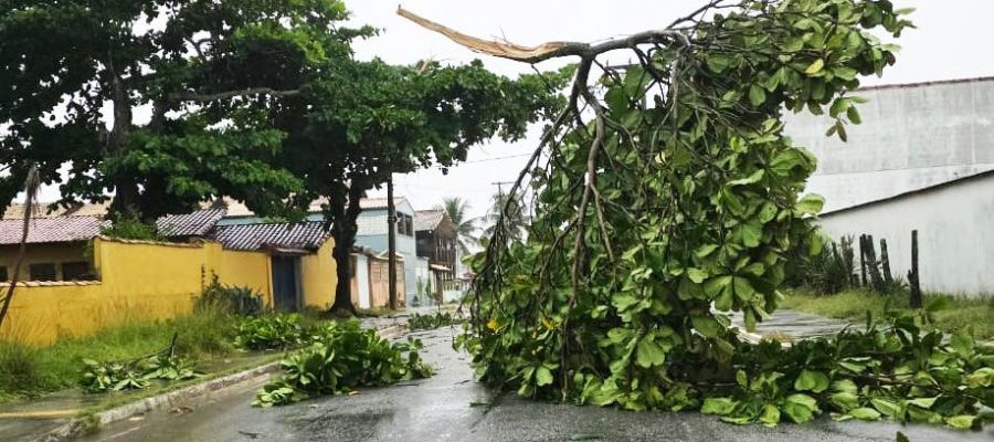 Toda a ação tem como objetivo garantir a segurança da população e o restabelecimento da normalidade Foto: Divulgação