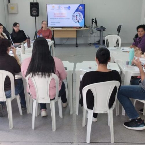 Seminário alinhou estratégias de ação para fortalecer a Linha de Cuidado de Saúde Mental Infantojuvenil no Município Foto :Divulgação