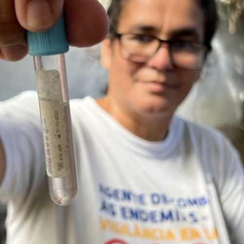 Números de dengue, zika e chikungunya seguem baixos, sem registro de óbitos, com trabalho diário da Vigilância em Saúde Foto: Ákilla Ribeiro