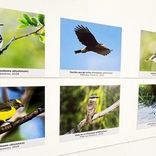 A mostra reúne cerca de 40 imagens e foi aberta ao público na última sexta-feira Foto: Alexandre Leite
