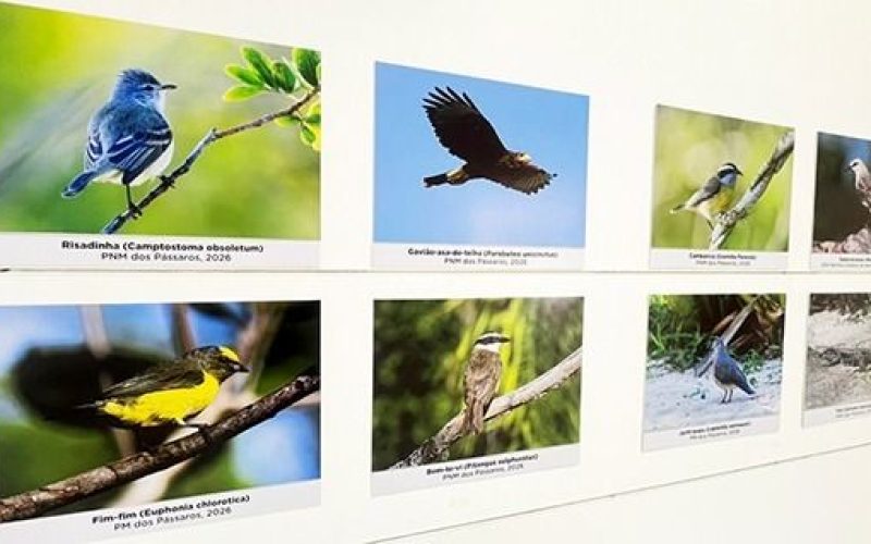 A mostra reúne cerca de 40 imagens e foi aberta ao público na última sexta-feira Foto: Alexandre Leite