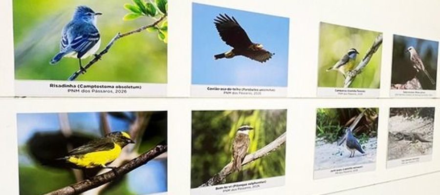 A mostra reúne cerca de 40 imagens e foi aberta ao público na última sexta-feira Foto: Alexandre Leite