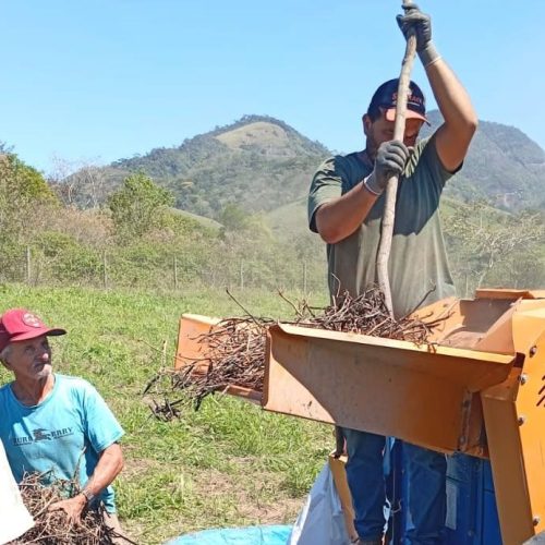Com o encerramento da colheita e do beneficiamento do feijão, os produtores iniciam o plantio do milho Foto: Divulgação