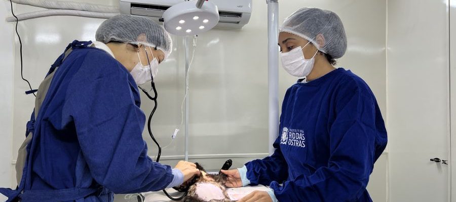 Para orientações veterinárias o atendimento é feito por ordem de chegada Foto: Alexandre Leite
