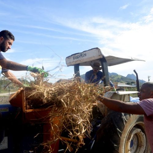 Rio das Ostras abre inscrições para cursos gratuitos para produtores rurais