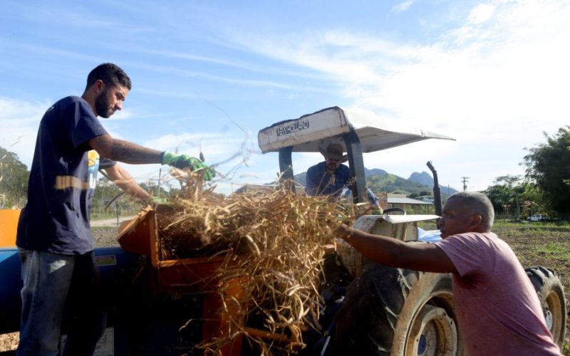 Rio das Ostras abre inscrições para cursos gratuitos para produtores rurais