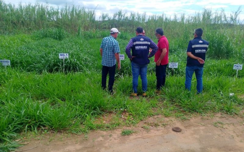 A visita foi acompanhada pelo engenheiro agrônomo, Benedito Fernandes Foto: Divulgação