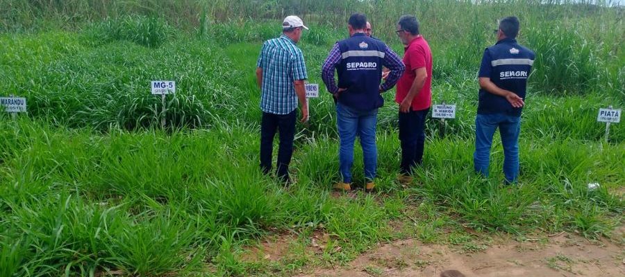 A visita foi acompanhada pelo engenheiro agrônomo, Benedito Fernandes Foto: Divulgação