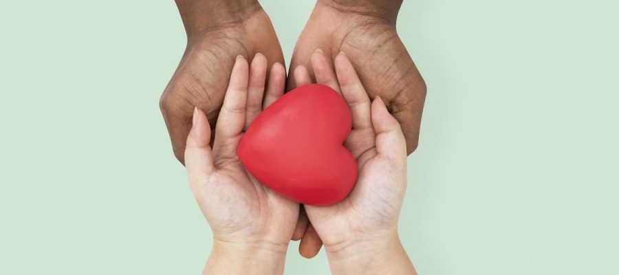 Doar sangue é um ato de amor e salva muitas vidas Foto: Ilustrativa
