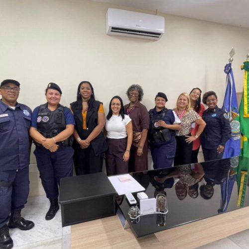 A reunião fortaleceu a integração entre municípios para ampliar as ações de proteção às mulheres Foto: Divulgação