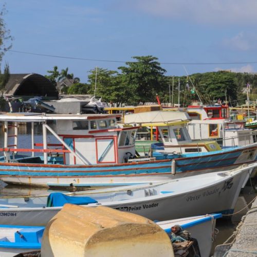 A iniciativa tem como objetivo contribuir para a atualização dos profissionais da pesca Foto: Ákilla Ribeiro