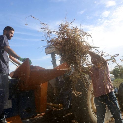 A iniciativa também busca estimular uma atuação conjunta entre o Poder Público e os produtores rurais Foto: Jorge Ronald