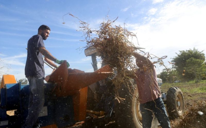 A iniciativa também busca estimular uma atuação conjunta entre o Poder Público e os produtores rurais Foto: Jorge Ronald