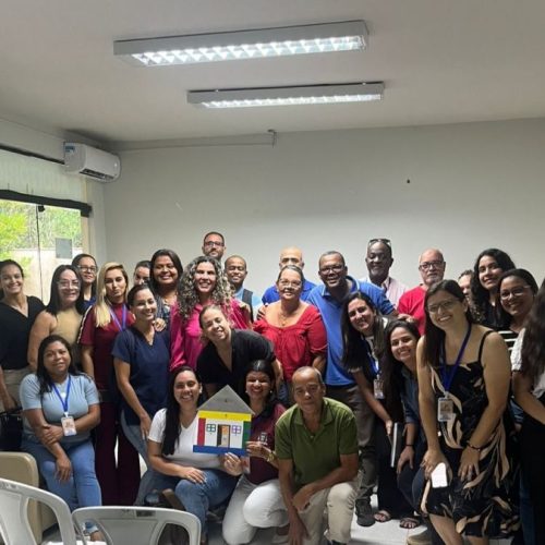 Oficina Formativa de Tutores prepara profissionais da saúde para atuar na gestão e organização de serviços da Atenção Primária Foto: Divulgação