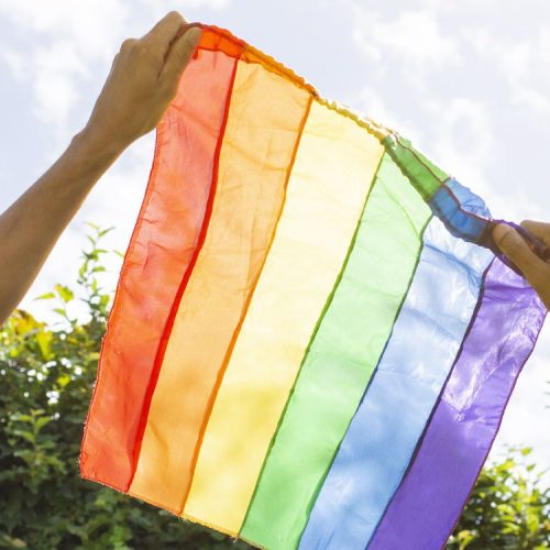 O foco da palestra será na qualificação do atendimento à população LGBTI+ Foto: Divulgação
