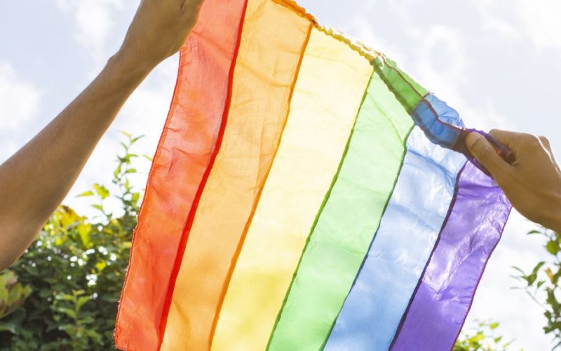 O foco da palestra será na qualificação do atendimento à população LGBTI+ Foto: Divulgação