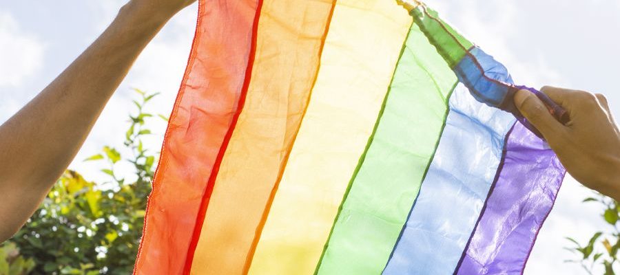 O foco da palestra será na qualificação do atendimento à população LGBTI+ Foto: Divulgação