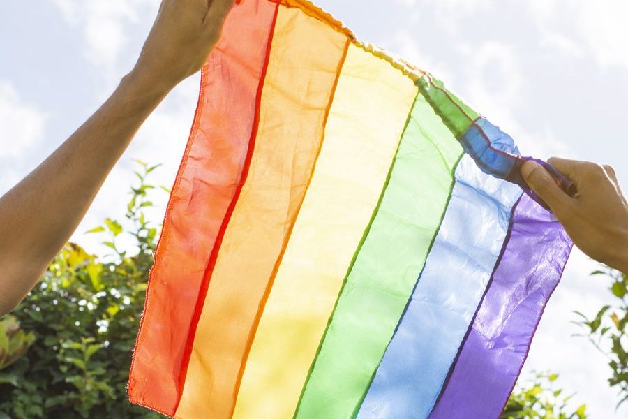 O foco da palestra será na qualificação do atendimento à população LGBTI+ Foto: Divulgação