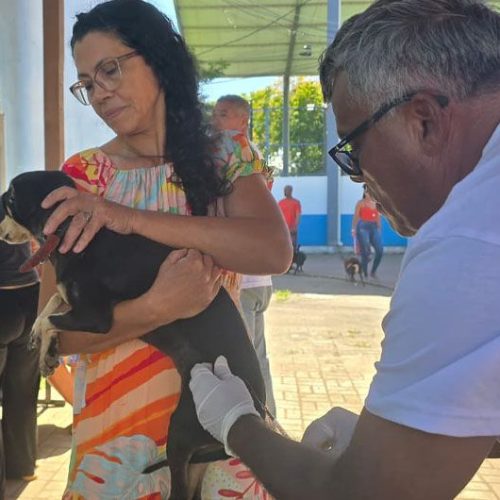 Campanha será em novembro, dividida pelos quatro sábados do mês, em diferentes localidades Foto: Alexandre Leite
